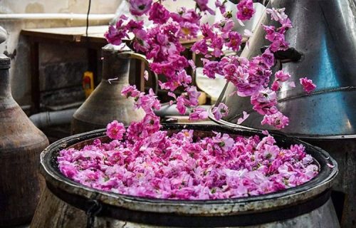 تور کاشان ویژه گلاب گیری